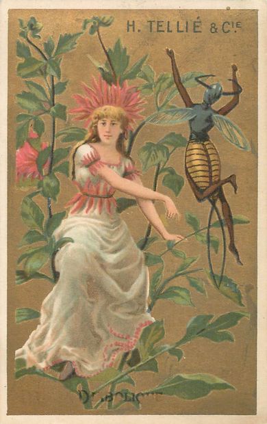 47 CHROMOS : Alimentaire - Divers. « 1-Etiquette-Quinquina...