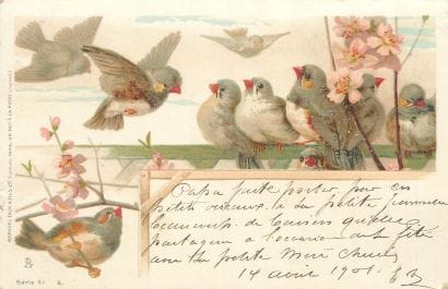 36 CARTES POSTALES LES ANIMAUX : Réels, Fantaisies...