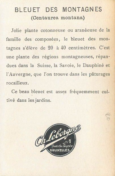 78 CHROMOS, IMAGES, REPRODUCTIONS & DIVERS...