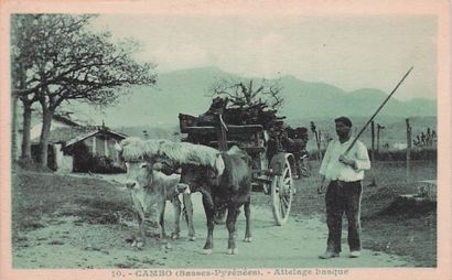 10 CARTES POSTALES METIERS : Sélection Province....