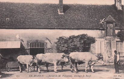 7 CARTES POSTALES EN BEAUCE : Éditeur ND...