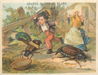 64 CHROMOS : Magasins. « L.Calvet Amiens-Enfants...
