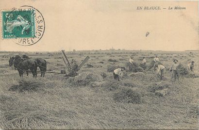 21 CARTES POSTALES SCENES & TYPES : Divers....