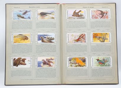 STOLLWERCK : Livre en allemand & 421 Chromos...