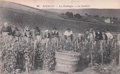 10 CARTES POSTALES METIERS : Sélection Province....