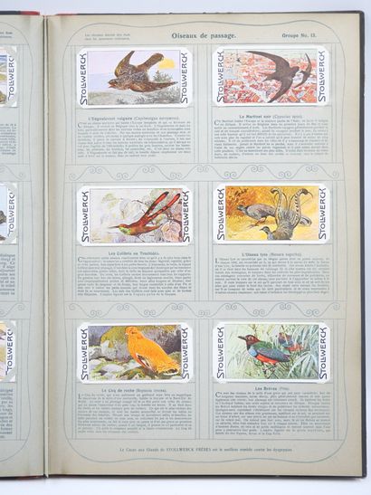 STOLLWERCK : Livre en allemand & 421 Chromos...
