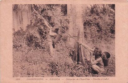 139 CARTES POSTALES INDOCHINE : 111cp-Annam-Collection...
