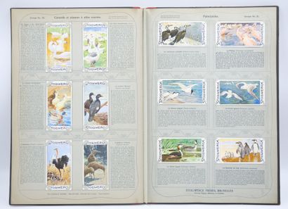 STOLLWERCK : Livre en allemand & 421 Chromos...
