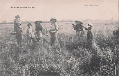 11 CARTES POSTALES INDOCHINE : Métiers autour...
