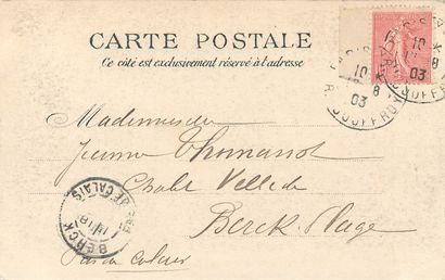 36 CARTES POSTALES LES ANIMAUX : Réels, Fantaisies...