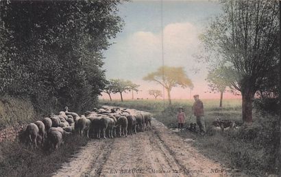 7 CARTES POSTALES EN BEAUCE : Éditeur ND...
