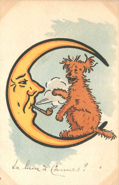 36 CARTES POSTALES LES ANIMAUX : Réels, Fantaisies...