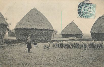 21 CARTES POSTALES SCENES & TYPES : Divers....