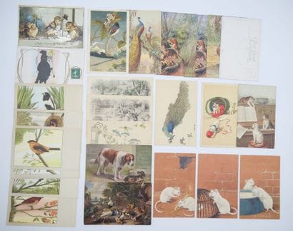 43 CARTES POSTALES FANTAISIES : Les Animaux....