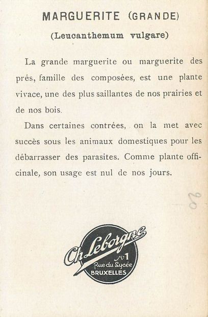78 CHROMOS, IMAGES, REPRODUCTIONS & DIVERS...