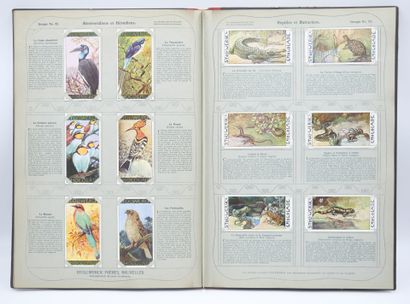STOLLWERCK : Livre en allemand & 421 Chromos...
