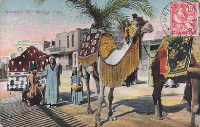 47 CARTES POSTALES ETRANGERS : 26cp/cpsm-Afrique...