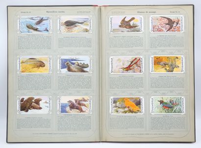 STOLLWERCK : Livre en allemand & 421 Chromos...