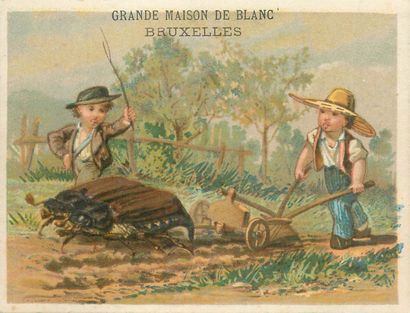 64 CHROMOS : Magasins. « L.Calvet Amiens-Enfants...