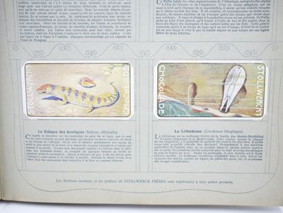 STOLLWERCK : Livre en allemand & 421 Chromos...