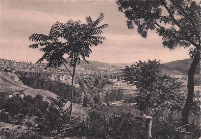 47 CARTES POSTALES ETRANGERS : 26cp/cpsm-Afrique...