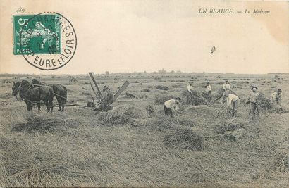 21 CARTES POSTALES SCENES & TYPES : Divers....