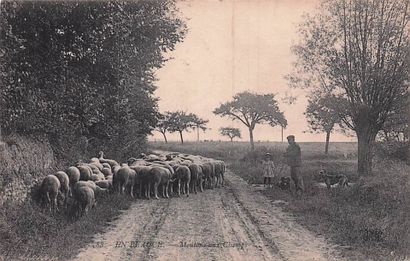 7 CARTES POSTALES EN BEAUCE : Éditeur ND...