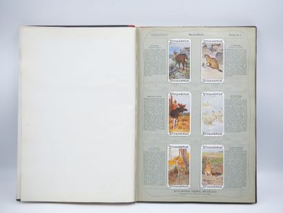 STOLLWERCK : Livre en allemand & 421 Chromos...