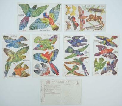 43 CARTES POSTALES FANTAISIES : Les Animaux....
