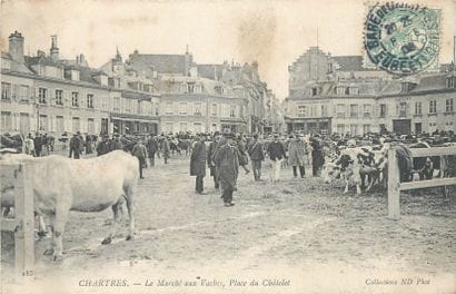 6 CARTES POSTALES LES MARCHES : Sélection....