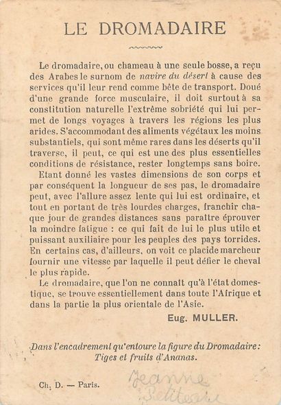 46 CHROMOS : Sans Publicité-Divers Thèmes...