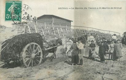 6 CARTES POSTALES TRAVAIL A LA MER : Petite...
