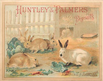 55 CHROMOS : Huntley & Palmers Biscuits....