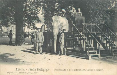 290 CARTES POSTALES BELGIQUE : Villes, qqs...