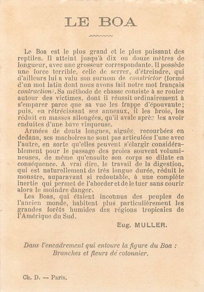 46 CHROMOS : Sans Publicité-Divers Thèmes...