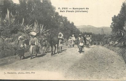 67 CARTES POSTALES AFRIQUE DU NORD : Algérie-22cp,...