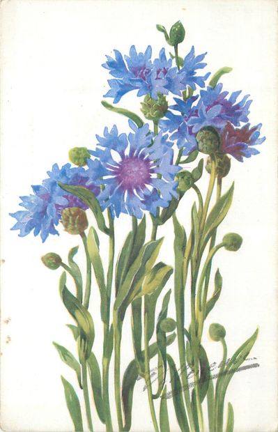 102 CARTES POSTALES & IMAGES FANTAISIES :...