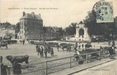 6 CARTES POSTALES LES MARCHES : Sélection....