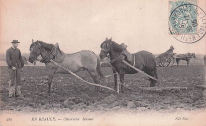 7 CARTES POSTALES EN BEAUCE : Éditeur ND...