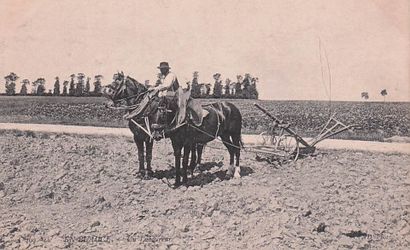 7 CARTES POSTALES EN BEAUCE : Éditeur ND...