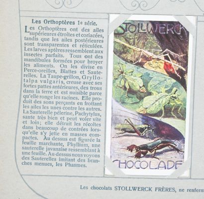 STOLLWERCK : Livre en allemand & 421 Chromos...
