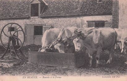 7 CARTES POSTALES EN BEAUCE : Éditeur ND...