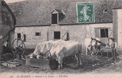 7 CARTES POSTALES EN BEAUCE : Éditeur ND...