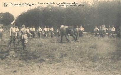 262 CARTES POSTALES MILITARIA : 78cp-France...