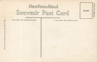 83 CARTES POSTALES ETRANGERS : Divers Pays...