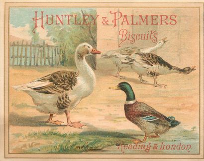 55 CHROMOS : Huntley & Palmers Biscuits....