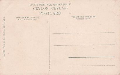 24 CARTES POSTALES ASIE : 5cp-Celyon, 3cp-Chine,...