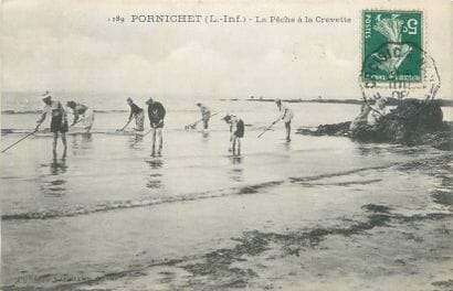 6 CARTES POSTALES TRAVAIL A LA MER : Petite...