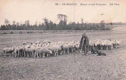 7 CARTES POSTALES EN BEAUCE : Éditeur ND...