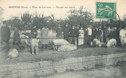 6 CARTES POSTALES LES MARCHES : Sélection....